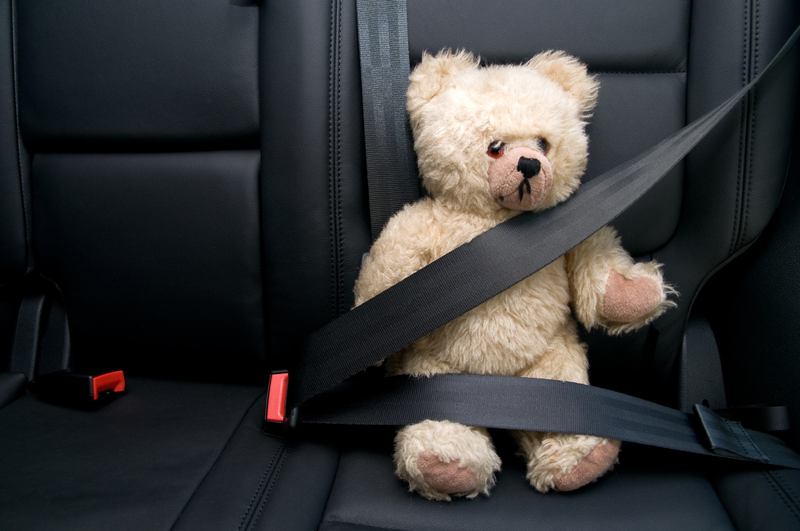 Teddy bear in car seat