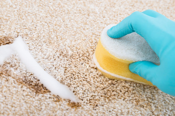 Close-up Of Person's Hand Cleaning Carpet