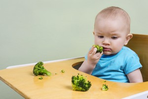 Baby tasting broccoli