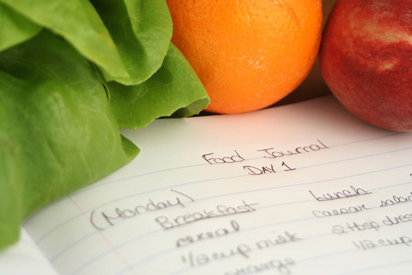 diary of food eaten throughout the day when on a diet (shallow DOF)