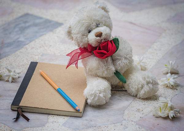 Teddy bear and diary for a memoir .