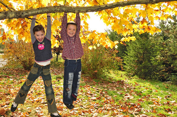 kids hanging from branch of tree
