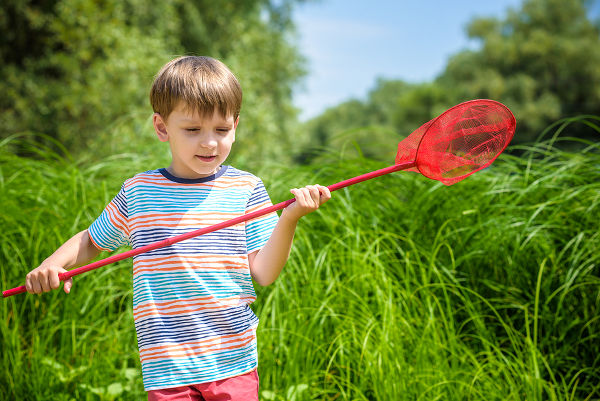 Adorable Caucasian kid playing with scoop-net on the meadow on warm and sunny summer or spring day. Active leisure time for children. Kid boy having fun hunting for butterfly and bugs.
