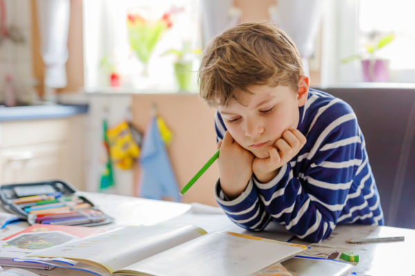 Portrait Of Cute Happy School Kid Boy At Home Making Homework. 