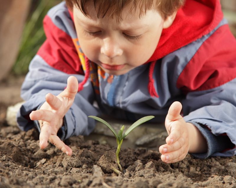 Boy grows plants