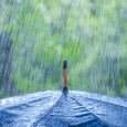 Umbrella in the rain