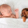 Newborn baby and puppy