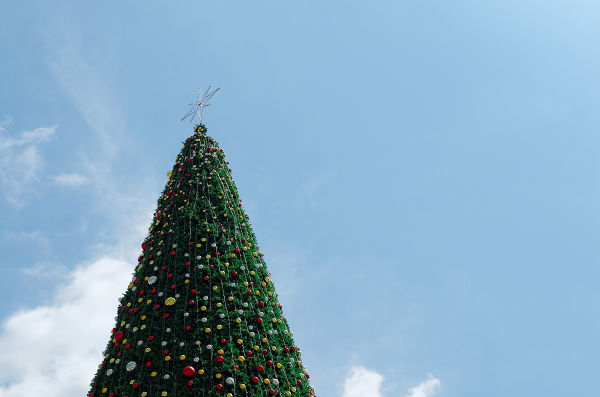 giant christmas tree with blue sky background
