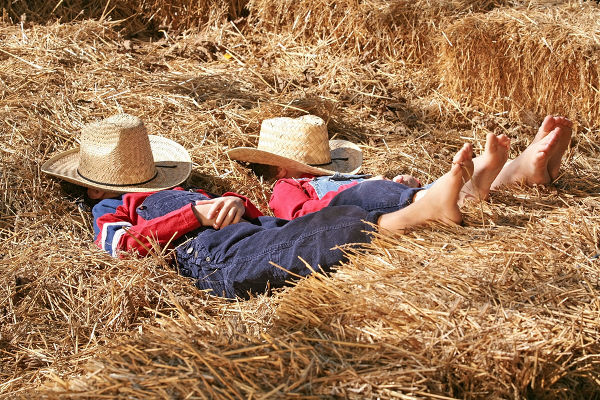 Two Little Farmers Asleep in the Hay