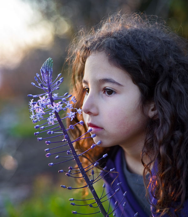 little girl smelling a purple flower