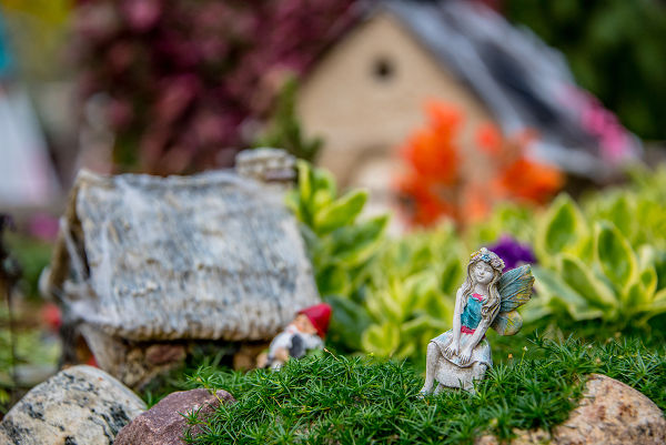Miniature moss garden with fairies and gnomes and a quaint little house surrounded by fresh plants and flowers in a folklore and fantasy concept