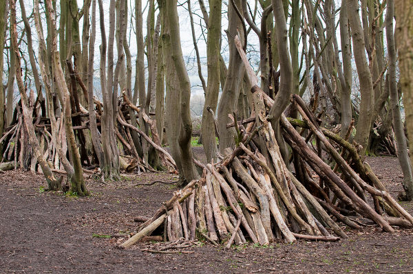 Hand made stick den in a forest clearing