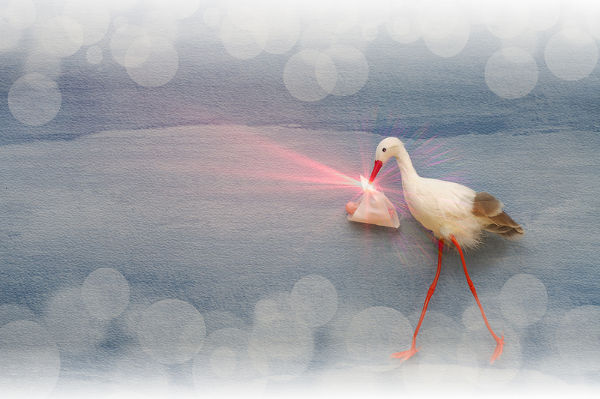 Stork delivering baby blured background and lens flare