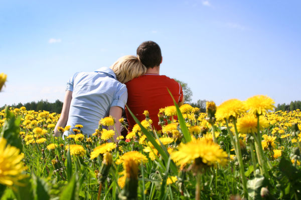 Happy couple sitting in a meadow