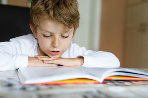 Young boy reading a book