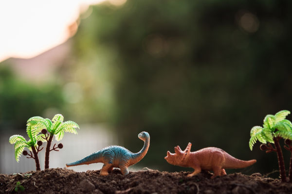 Toy dinosaurs in a garden
