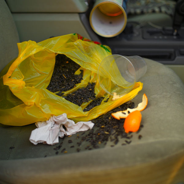 Sunflower Seeds And Other Rubbish Left On A Car Seat, 