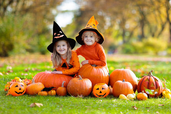 Kids trick or treat on Halloween. Children in black and orange witch costume and hat play with pumpkin and spider in autumn park.